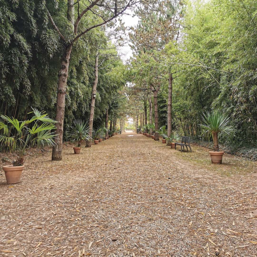 Jardin botanique Yves Rocher de La Gacilly