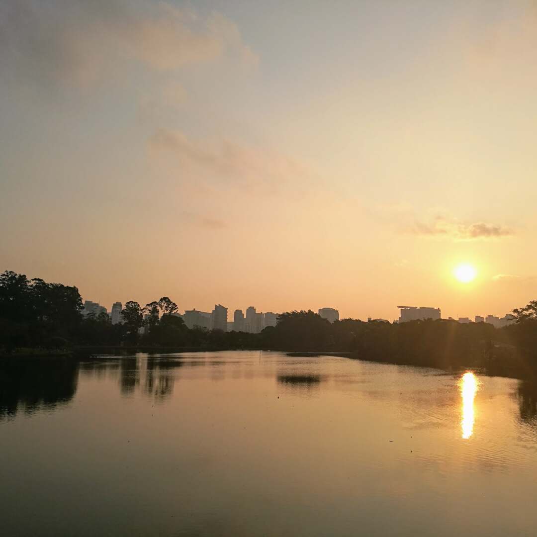 Parque Ibirapuera