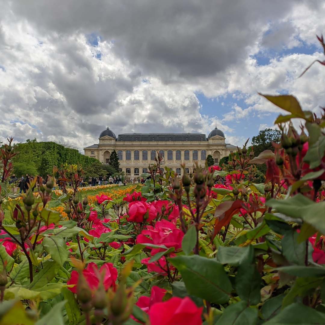 Jardin des Plantes